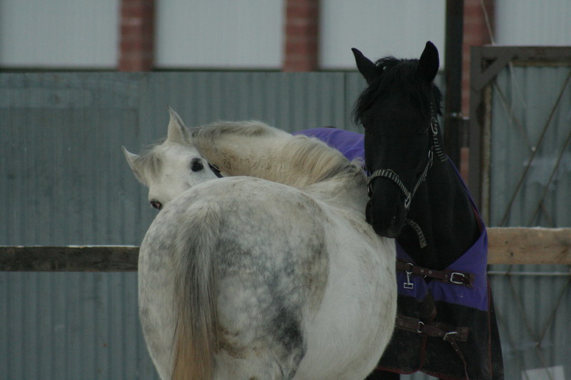 IMG_1456.jpg1.jpg"%20height="533"%20width="800